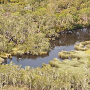 Forest creek with reflections in still water. Narau Beach, Queensland, Australia.