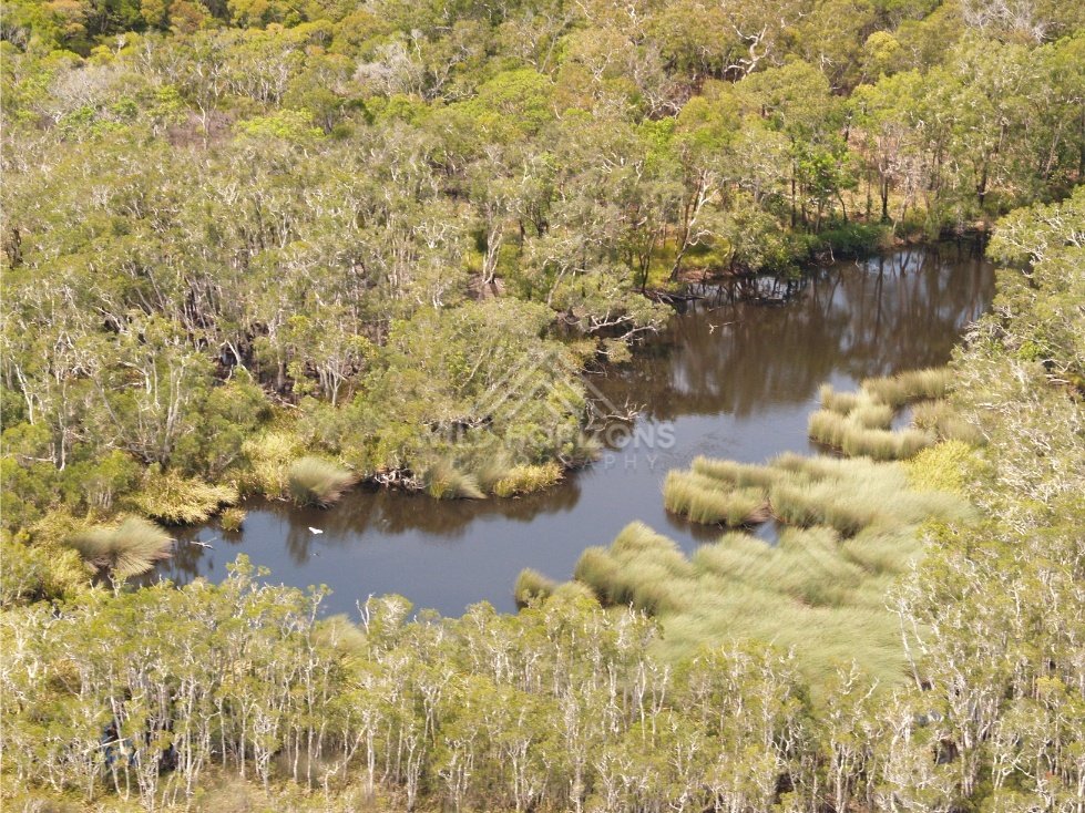 Forest creek with reflections in still water. Narau Beach, Queensland, Australia.