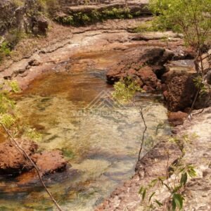 Shallow rock pool with amber water and sandstone ledges. Fruitbat Falls, Queensland, Australia.