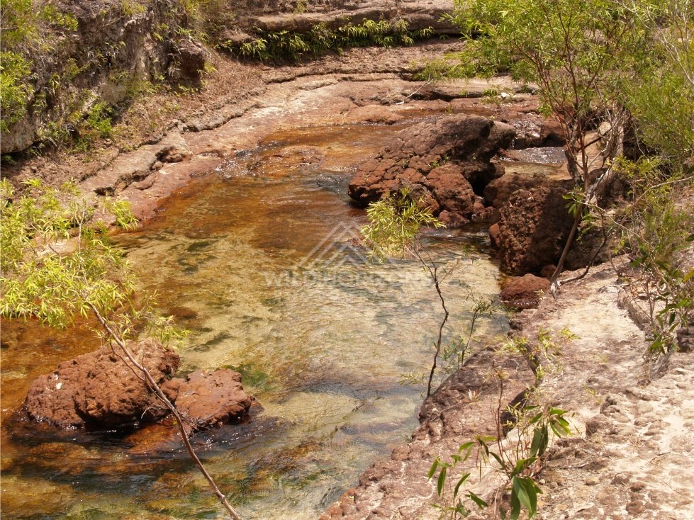 Shallow rock pool with amber water and sandstone ledges. Fruitbat Falls, Queensland, Australia.