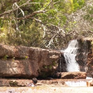 Small falls beside sandstone wall with people at pool edge. Fruitbat Falls, Queensland, Australia.