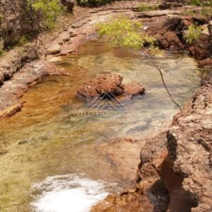 Clear creek winding through red rock gorge. Fruitbat Falls, Queensland, Australia.
