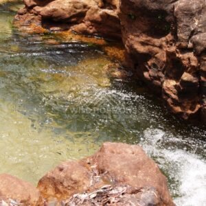 Amber pool and textured sandstone bank. Fruitbat Falls, Queensland, Australia.