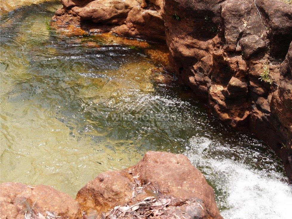 Amber pool and textured sandstone bank. Fruitbat Falls, Queensland, Australia.