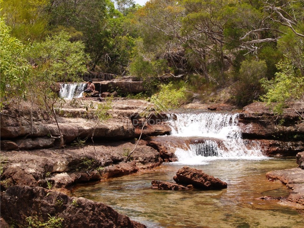 Double waterfall framed by bushland. Fruitbat Falls, Queensland, Australia.
