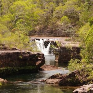 Waterfall with surrounding Cape York trees. Fruitbat Falls, Queensland, Australia.