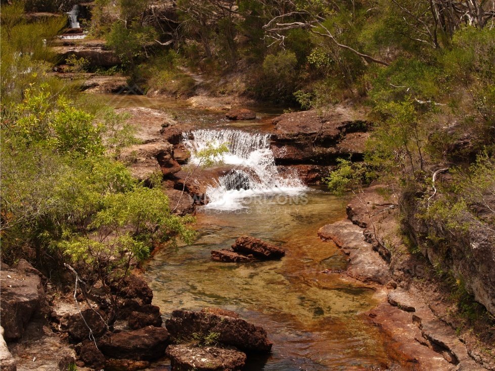 Small cascade in forest setting. Fruitbat Falls, Queensland, Australia.