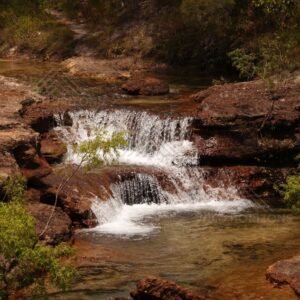 Waterfall surrounded by dense vegetation. Fruitbat Falls, Queensland, Australia.