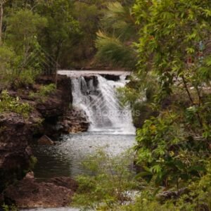 Waterfall through overhanging foliage. Fruitbat Falls, Queensland, Australia.