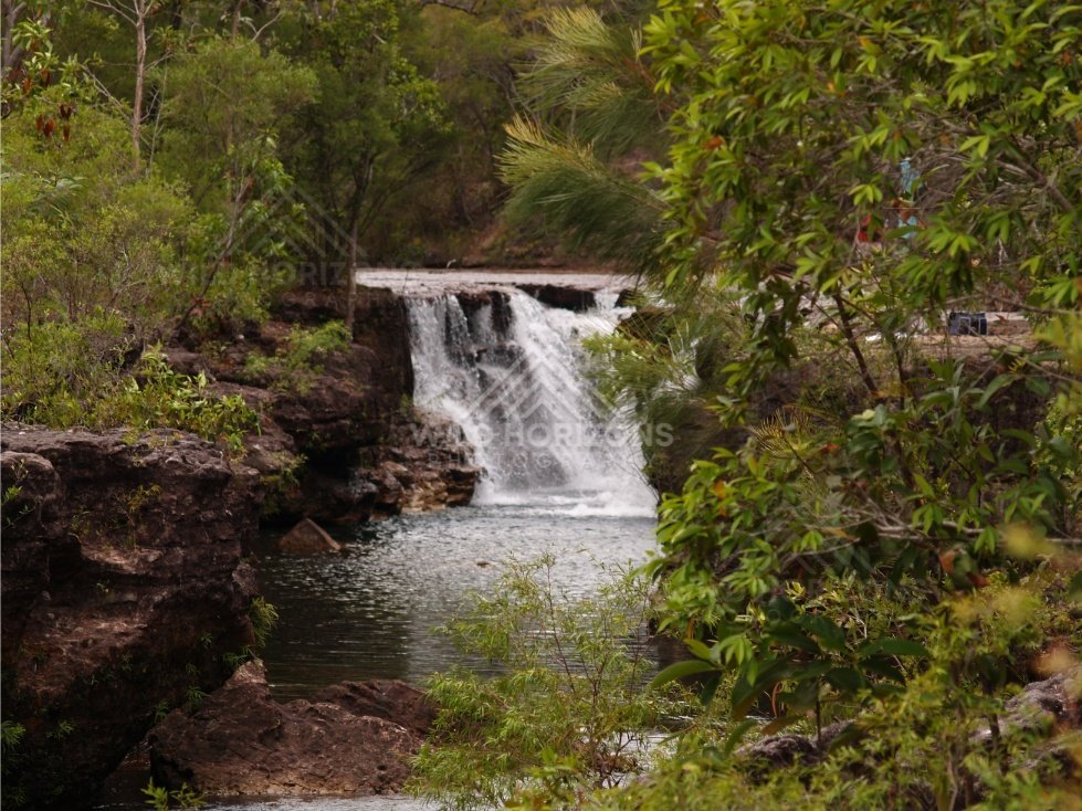 Waterfall through overhanging foliage. Fruitbat Falls, Queensland, Australia.