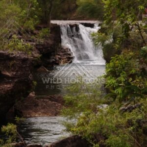 Taller waterfall in shaded gorge. Fruitbat Falls, Queensland, Australia.