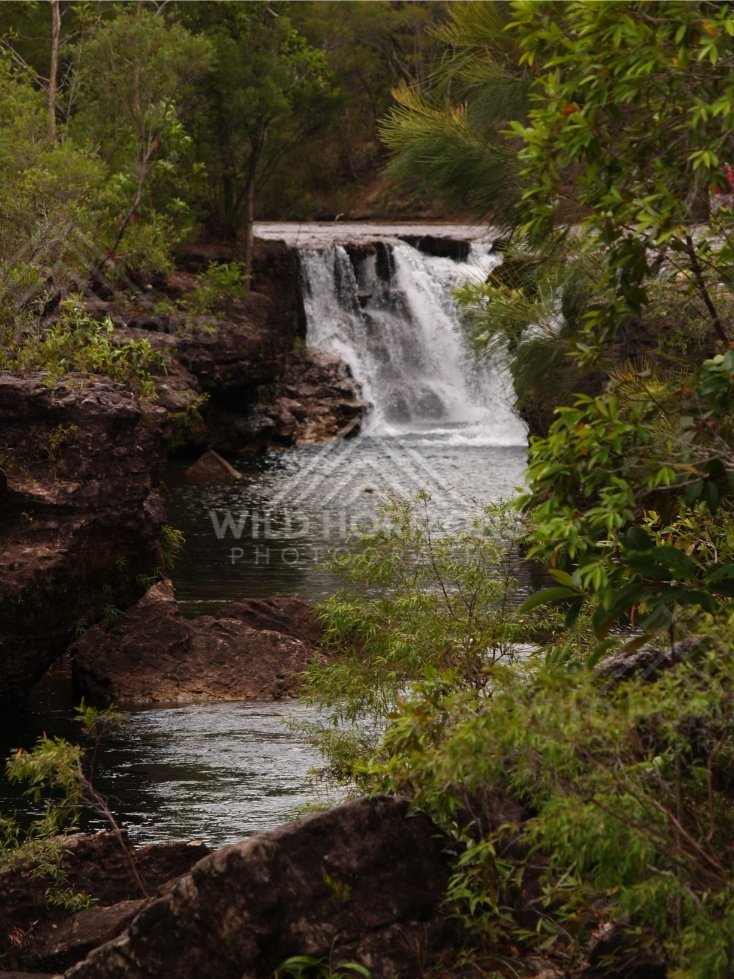 Taller waterfall in shaded gorge. Fruitbat Falls, Queensland, Australia.