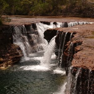 Broad sandstone waterfall dropping into a green pool. Fruitbat Falls, Queensland, Australia.