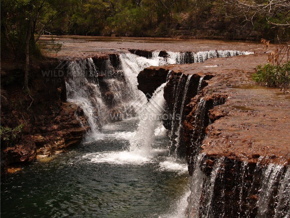 Broad sandstone waterfall dropping into a green pool. Fruitbat Falls, Queensland, Australia.