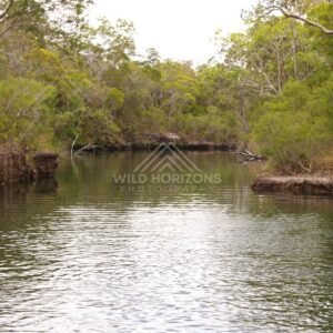 Still pool surrounded by woodland. Fruitbat Falls, Queensland, Australia.