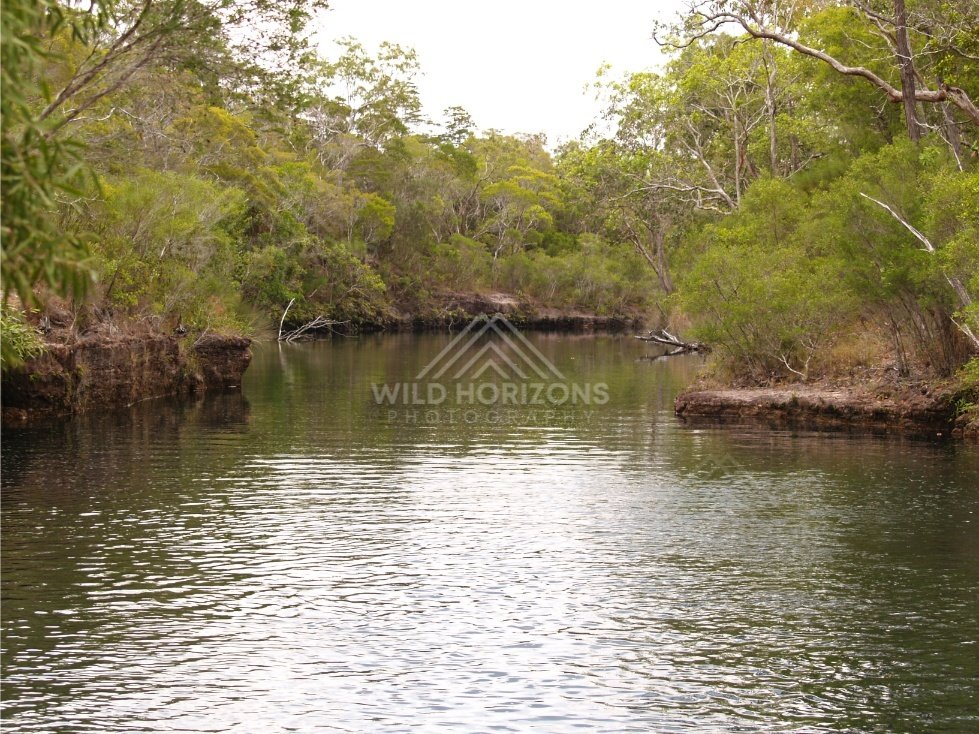 Still pool surrounded by woodland. Fruitbat Falls, Queensland, Australia.
