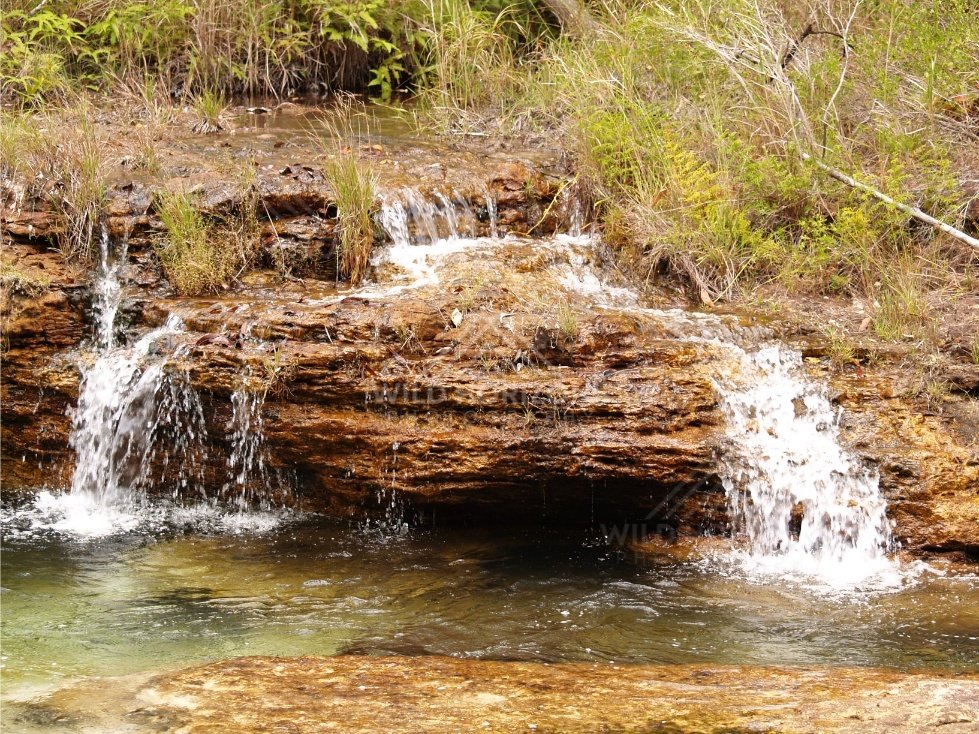 Twin trickle falls over rock shelf. Fruitbat Falls, Queensland, Australia.