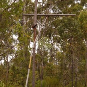 Tall wooden telegraph pole among trees. Fruitbat Falls, Queensland, Australia.