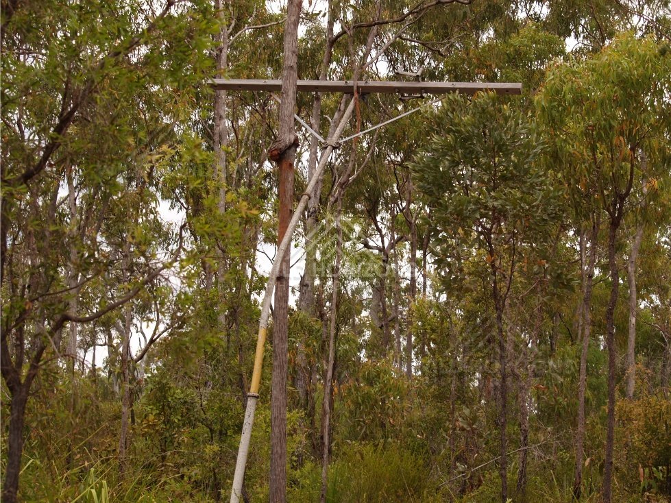 Tall wooden telegraph pole among trees. Fruitbat Falls, Queensland, Australia.