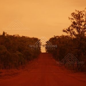 Long straight dirt road glowing at dusk. Iron Range, Queensland, Australia.