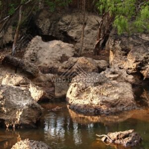 Eroded rock beside still waterhole. Iron Range, Queensland, Australia.