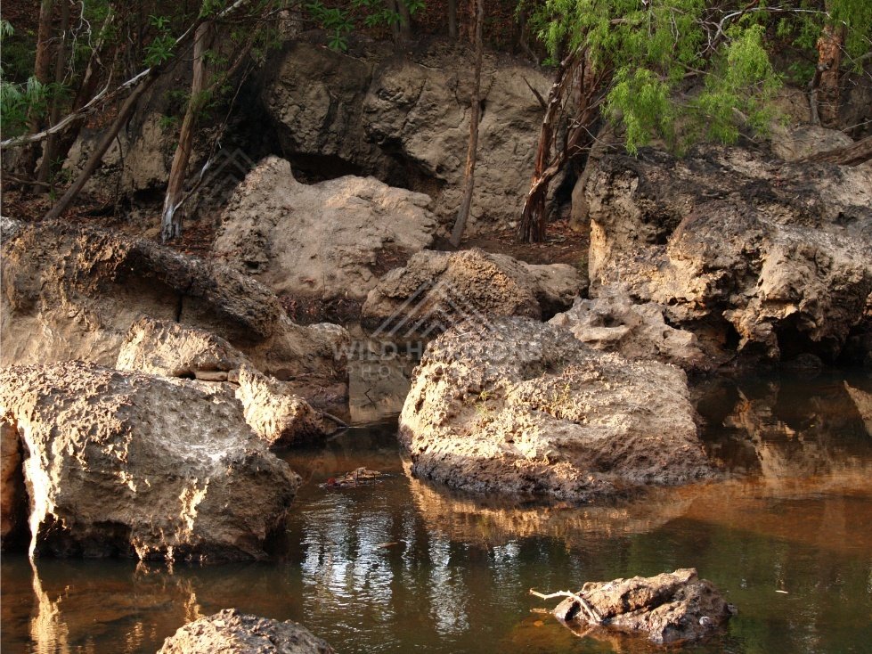 Eroded rock beside still waterhole. Iron Range, Queensland, Australia.