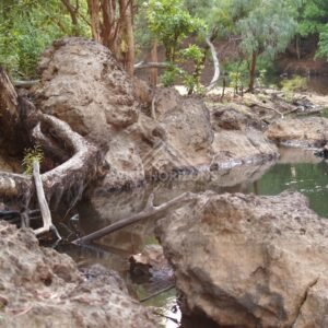 Large sculpted boulder in creek. Iron Range, Queensland, Australia.