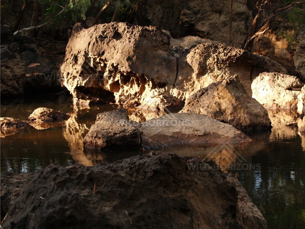 Eroded rock formation beside pool. Iron Range, Queensland, Australia.