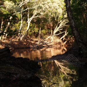 Dark rainforest pool with dappled light. Iron Range, Queensland, Australia.