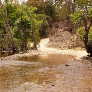 Shallow crossing on forest road. Iron Range, Queensland, Australia.