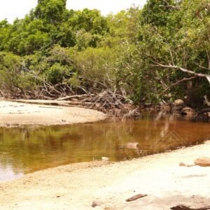 Creek mouth with sandy banks. Iron Range, Queensland, Australia.