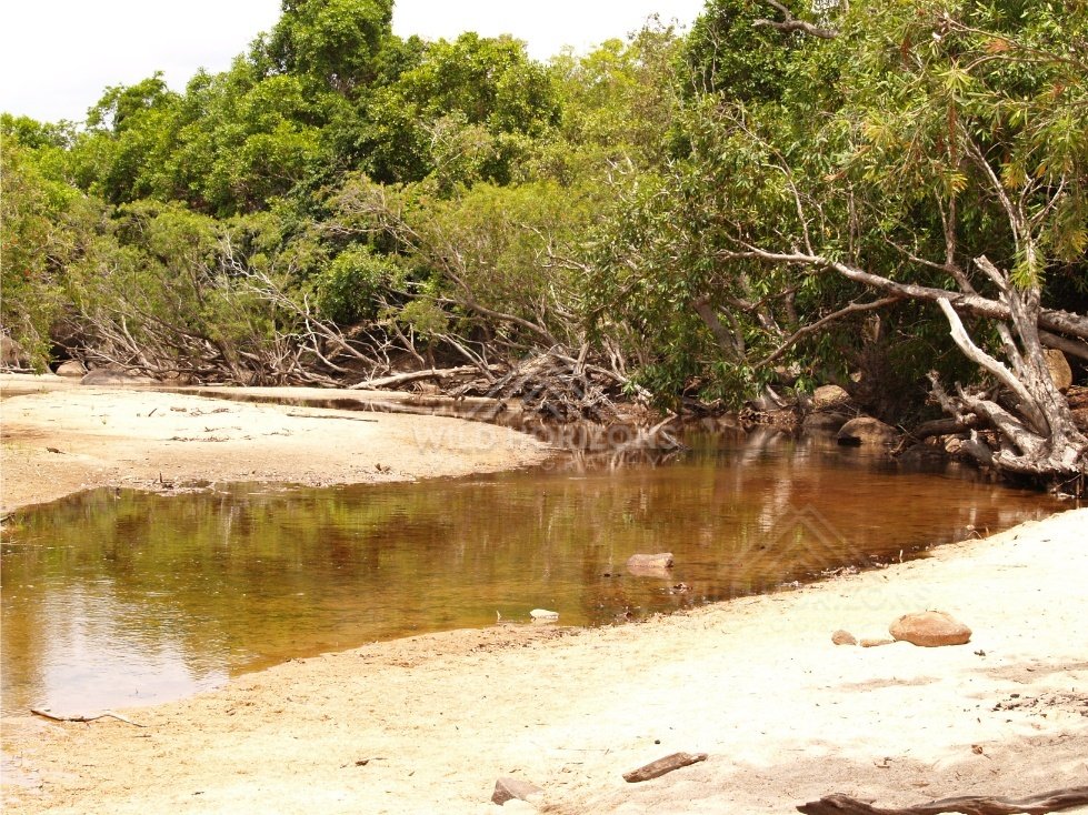 Creek mouth with sandy banks. Iron Range, Queensland, Australia.