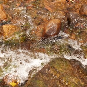 Clear water over coloured stones. Iron Range, Queensland, Australia.