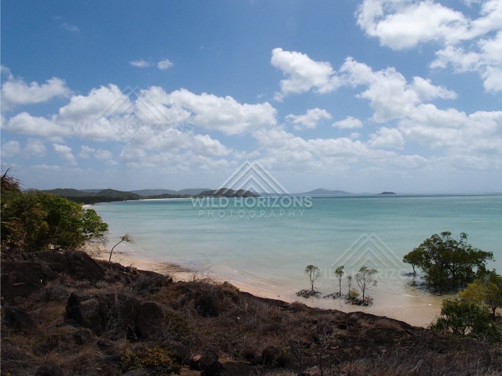 Curving Sandy Beach and Calm Turquoise Bay Viewed from an Elevated Headland. Cape York, Australia.