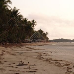 Tropical beach at low tide with scattered seaweed and distant islands. Portland Roads, Australia.