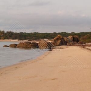 Sandy shoreline with rounded granite boulders and gentle surf. Portland Roads, Australia.