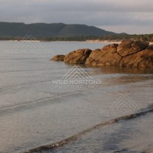 Calm shoreline with granite outcrops and small waves in a sheltered bay. Portland Roads, Australia.
