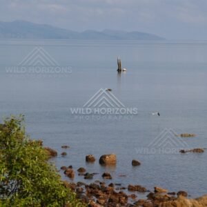 Calm bay with distant headlands and a solitary marker post. Portland Roads, Australia.