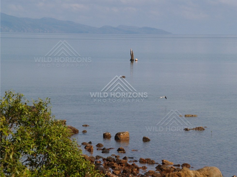 Calm bay with distant headlands and a solitary marker post. Portland Roads, Australia.