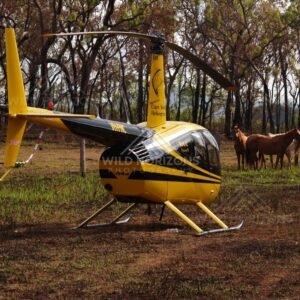 Yellow helicopter parked on grass with horses in the background. Hopevale, Australia.
