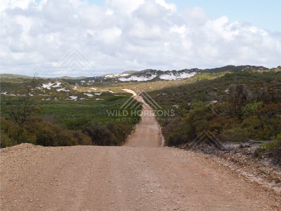 Red dirt road cutting through coastal heath toward white sand dunes. Elim Beach, Australia.