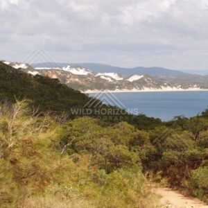 Coastal lookout over blue water and pale sand dunes. Elim Beach, Australia.