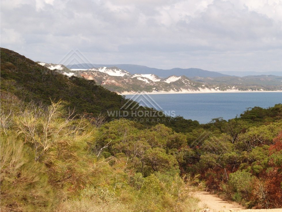 Coastal lookout over blue water and pale sand dunes. Elim Beach, Australia.