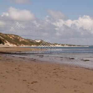 Long sandy shoreline with dune cliffs and low-tide flats. Elim Beach, Australia.