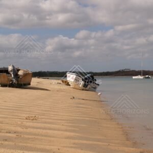 Beached dinghies on rippled sand at low tide with a shorebird. Seisia, Queensland, Australia.