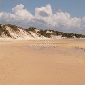 Wide tidal beach beneath towering cumulus clouds and dune cliffs. Elim Beach, Australia.