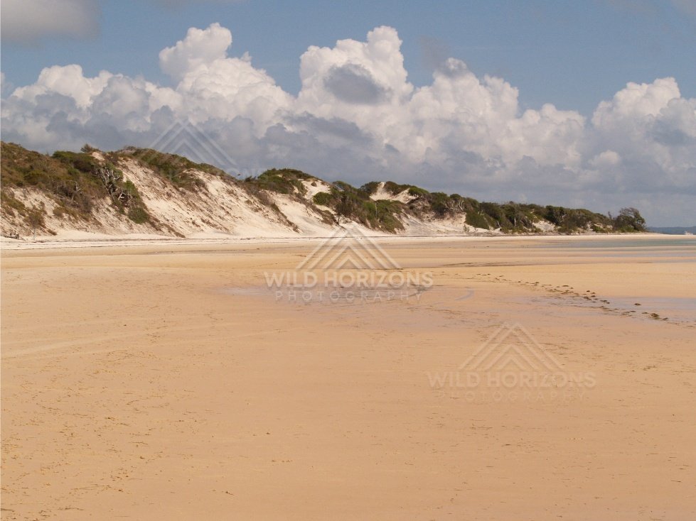 Wide tidal beach beneath towering cumulus clouds and dune cliffs. Elim Beach, Australia.