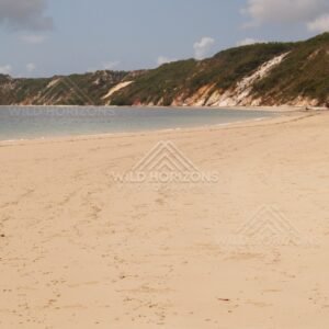 Sheltered bay with a wide beach and steep vegetated dunes. Elim Beach, Australia.