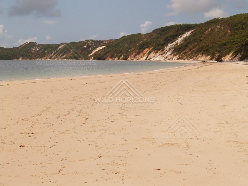 Sheltered bay with a wide beach and steep vegetated dunes. Elim Beach, Australia.