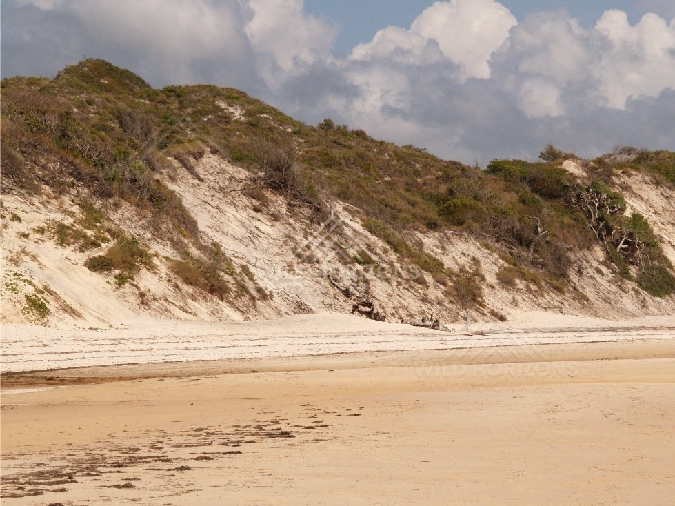 Eroded dune face above a quiet stretch of sand. Elim Beach, Australia.